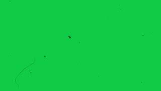 Vintage VHS Green Screen  old film grain overlay  scratches [upl. by Eniamej712]