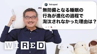 睡眠学者、柳沢正史だけど質問ある？  Tech Support  WIRED Japan [upl. by Veronica]