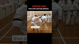 Ushiro geri sports martialarts [upl. by Fernand]