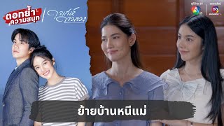 ย้ายบ้านหนีแม่  ตอกย้ำความสนุก ดุจเล่ห์ดาวลวง EP23 [upl. by Eico]