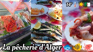 اشهر مطاعم لبيع السدين في العاصمة meilleur restaurant pour manger des sardines grillées a Alger [upl. by Esile778]