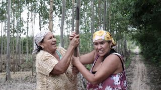 DONA MAROCA BOTOU MORAL NA CASA DO ZÉ [upl. by Teik]