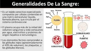 Histología de la Sangre 2024 [upl. by Jollanta236]