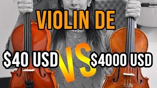 Violín de 40 USD vs Violín de 4000 USD ¿Cuál es mejor [upl. by Ligriv564]