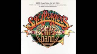 Sgt Peppers Lonely Hearts Club Band Soundtrack 1976 [upl. by Mehetabel400]