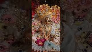 Radhe braj man Jan sukhkari radhe shyama shyama shyam siyaarts [upl. by Vasya]