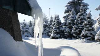 Leise rieselt der Schnee  Trompete Holger Mück [upl. by Lehplar]