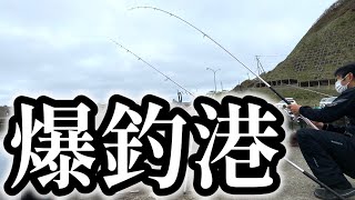 【北海道】【釣り】特大◯◯◯を釣りまくる‼️必見！水中映像 [upl. by Ayota]