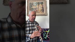 Divertimento K 240 Andante grazioso 912 Mozart lygeros music clarinet musicalinstrument [upl. by Saturday]