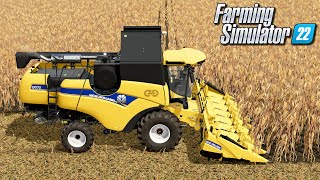 Koszenie kukurydzy na ziarno  Farming Simulator 22  33 [upl. by Esalb523]