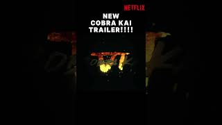 New Cobra Kai Final Season Trailer [upl. by Adin742]