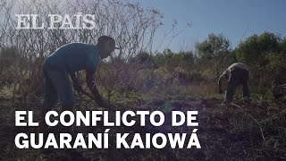 El conflicto de Guaraní Kaiowá en Mato Grosso do Sul en Brasil Planeta Futuro [upl. by Yrffoeg]