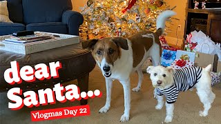 What My Dogs Want for Christmas  VLOGMAS 2021 [upl. by Charmane955]