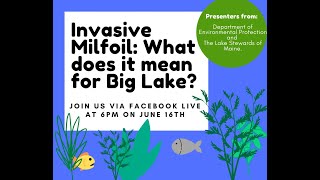 Invasive Milfoil What does it mean for Big Lake [upl. by Quill]