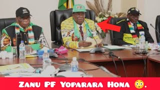 Dzinogona Kungorira Anytime MuZanu PF 😳 [upl. by Annoik571]