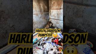 I went to Harley Davidsons dumpster and found animals harleydavidson animals dumpsterdiving [upl. by Chivers]