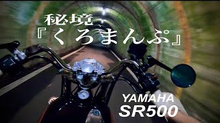 YAMAHA SR500 『くろまんぷ』RUN [upl. by Lavery]