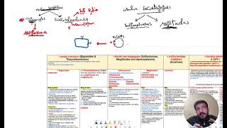 hypoglycemic drugs  Endocrinology Diabetes L3 part 2 BY DR ANTONIUS [upl. by Refenej]