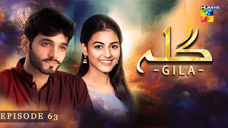 Gila Episode 63  Wahaj Ali  Anzela Abbasi  Best Pakistani Serial  HUM TV [upl. by Dercy]