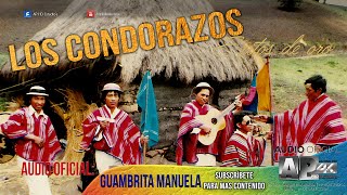 Los Condorazos  Guambrita Manuela quotAudio Oficialquot AP HD Estudios [upl. by Sabian]