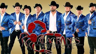 ALACRANES MUSICAL  Mix de Exitos Sus Mejores Canciones [upl. by Morena]