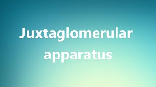 Juxtaglomerular apparatus  Medical Meaning and Pronunciation [upl. by Caassi418]