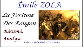 BAC  Émile ZOLA La Fortune Des Rougon Résumé Analyse [upl. by Norrek]