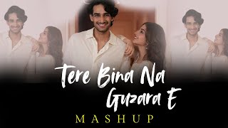 Tere Bina Na Guzara E Mashup  Josh Brar  jukebox  Latest Insta Trend Anirudha  Rahul Jinwal Mix [upl. by Ondrej277]