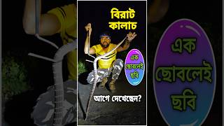 কালাচ সাপ থেকে বাঁচবার উপায় জানুন  Krait Bite Remedy  Karat Saamp snakevideo venomous viral [upl. by Anelleh]