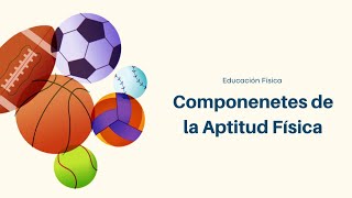 Componentes de Aptitud Física 💪🏻🏃🏻‍♂️🫀🫁🏋🏻‍♂️ VIDEO EDUCATIVO [upl. by Nanam]