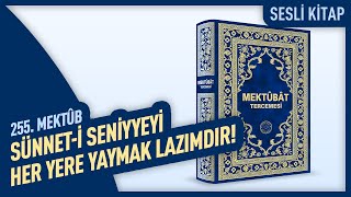 Sünneti Seniyyeyi Her Yere Yaymak Lazımdır  255 Mektûb  Mektûbat Tercemesi  Hakikât Kitâbevi [upl. by Necyrb]