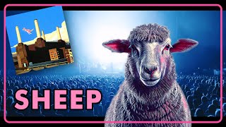 Sheep  The Australian Pink Floyd Show Live In Germany 2022 [upl. by Akem645]