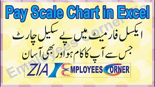 Pay Scale Chart in MS Excel Soft Copy  BPS Chart 2001 To 2022 Download Here  Employees Corner Zia [upl. by Hosea150]