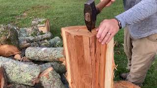 Bitternut Hickory and the Gransfors Bruk American felling axe [upl. by Woodman9]