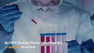 Antibody Structure Secrets Revealed [upl. by Nayrbo496]