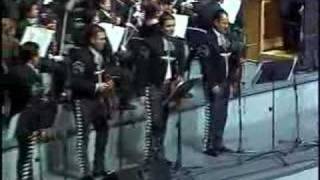 MARIACHI VARGAS DE TECALITLAN POPURRI VERACRUZANO [upl. by Alber]