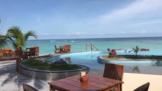 Filitheyo island 🏝 resort of Maldives 🇲🇻 sunset 🌅 and pool 🏊‍♂️ bar [upl. by Juetta]