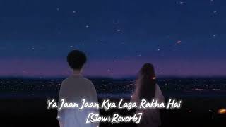 Ya Jaan Jaan Kya Laga Rakha Hai  SlowedReverb Song [upl. by Atinaujnas]