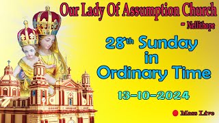 🔴 🅻🅸🆅🅴  13102024  Sunday Morning English mass  Our Lady of Assumption Church Nellithope [upl. by Knuth896]