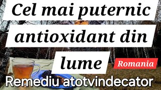 Cel mai puternic aliment antioxidant  atotvindecatorUnde se găsește Cum se folosește [upl. by Assil]