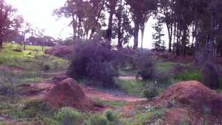 collie trails bmx dirt jumps [upl. by Uolyram542]