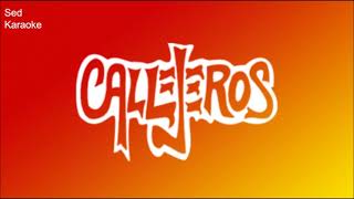 Sed  Callejeros  Karaoke [upl. by Aenehs701]