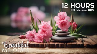 Ultimate Healing Spa Music for Relaxation and Meditation [upl. by Froh778]