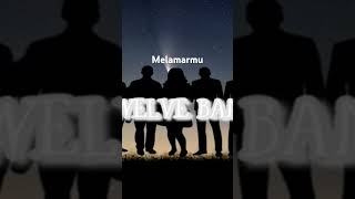 Melamarmu By Twelve Band music song newmusic cover lyrics short shorts shortvideo [upl. by Sirois]