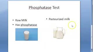 PSM 696 Phosphatase Test Milk Pasteurization Pasteurized [upl. by Leaj]