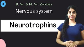 Neurotrophins  Nervous system  B Sc amp M Sc  Zoology [upl. by Boylan]