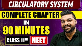 CIRCULATORY SYSTEM IN 90 Minutes  Full Chapter Revision  Class 11 NEET [upl. by Mlawsky]