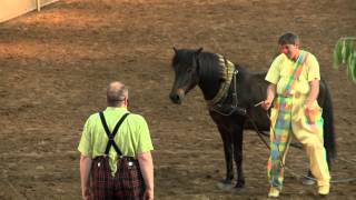 Clown mit Pferd DIDOS SCHLITTENFAHRT Fluidum Reitschule [upl. by Arihay]