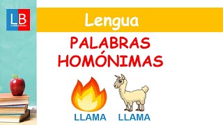 Palabras HOMÓNIMAS para niños ✔👩‍🏫 PRIMARIA [upl. by Pratte]