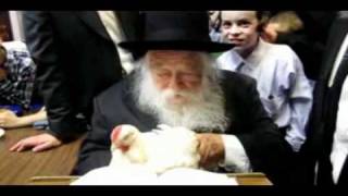 Rav Chaim Kanievsky Kapparos [upl. by Rizan]